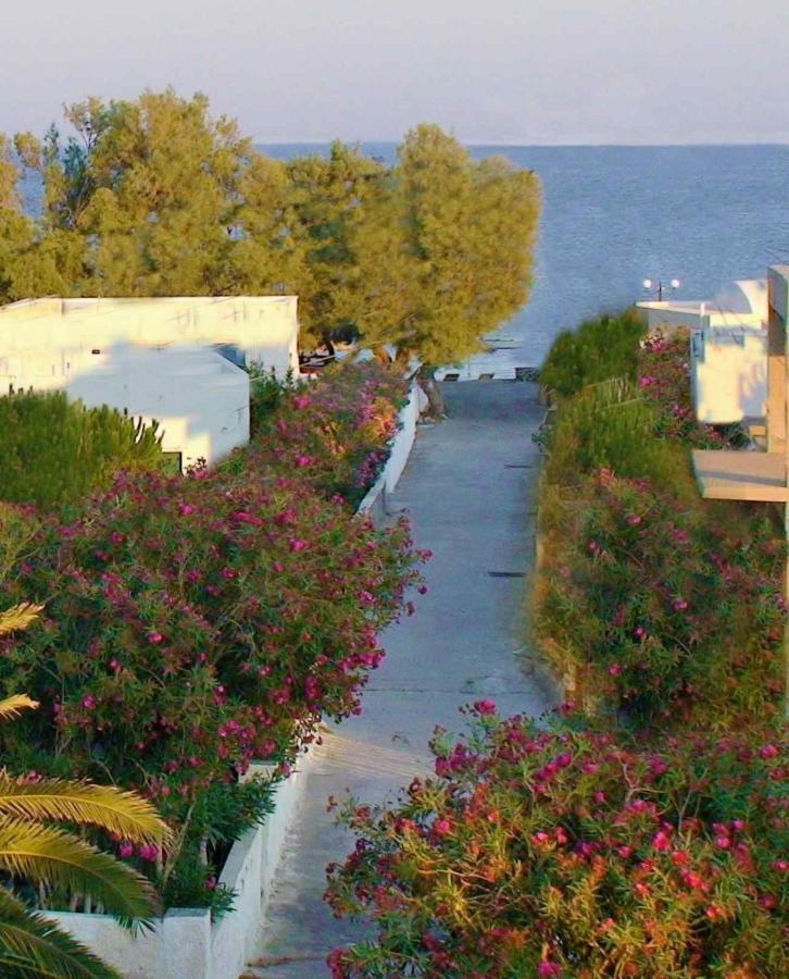 Located By The Sea One Beachfront Private Captain Lazaros Pool Villa With Loft In 750Sqm Spacious Private Plot-Jacuzzi-Sunrelax-Furnished Terace-Gazebo-Private Parking,Sleep 3 Adults And 2 Children, Just Steps From The Black Beach-Seaview Перисса Экстерьер фото